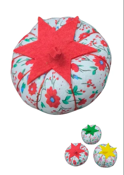 İğnelik Kabak (Renk  Durumuna Göre) ürün görseli