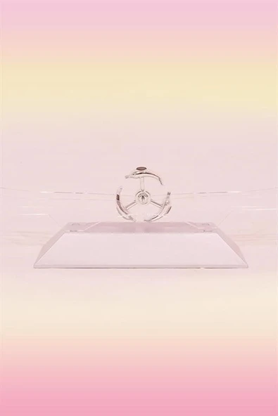 BUFFER® Dekoratif Masa Üstü Obje Manyetik Kinetik Orbital Dönen Yunuslar - Resim 4