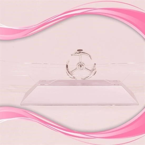 BUFFER® Dekoratif Masa Üstü Obje Manyetik Kinetik Orbital Dönen Yunuslar - Resim 2