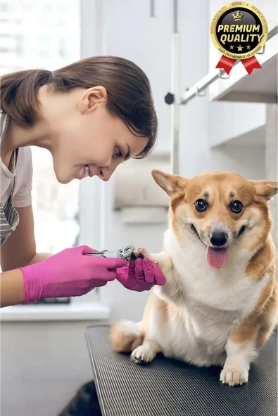 Özel Üretim Dayanıklı Güvenli Bakım Keskin Bıçaklı Kedi Köpek Evcil Hayvan Giyotin Tırnak Makası - 6