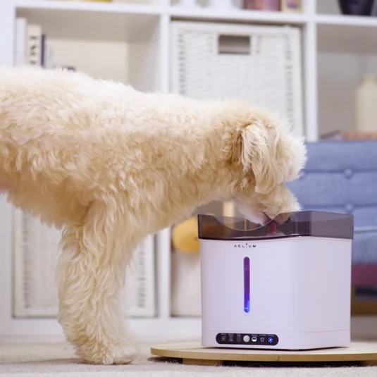 Aclıum Sensörlü Köpek Su Sebili - 2