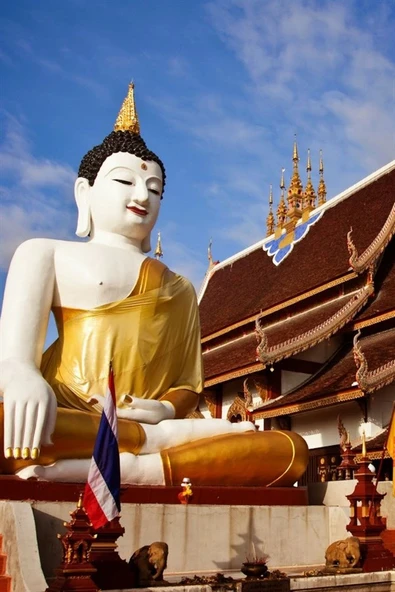 Tayland Buda Temalı Oval Magnet - Resim 5