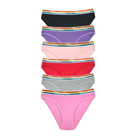 6 Adet Beli Renkli Lastik Pamuklu Kadın Slip Tutku Külot ürün görseli