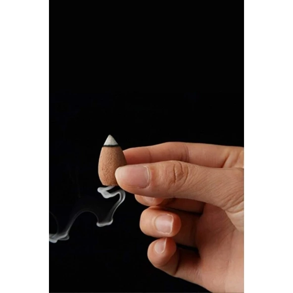 10 Adet Geri Akış Backflow Şelale Tütsü Konisi Tütsü Back Lotus Vanilla - Resim 2