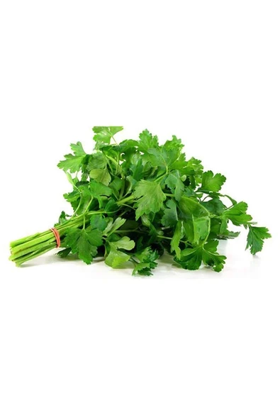 Maydanoz Tohumu 25 Gr ürün görseli 1