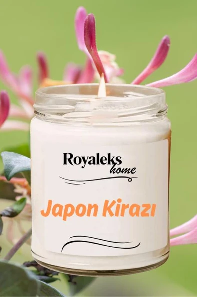 4 Adet Doğal Özel Seri Kokulu Dekoratif Kavanoz Mum 4X210 cc - Tropikal Set - RYL - 3