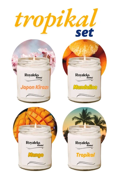 4 Adet Doğal Özel Seri Kokulu Dekoratif Kavanoz Mum 4X210 cc - Tropikal Set - RYL