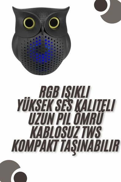 Bluetooth Hoparlör TWS Kablosuz RGB Işıklı Dekoratif Taşınabilir Baykuş - 2