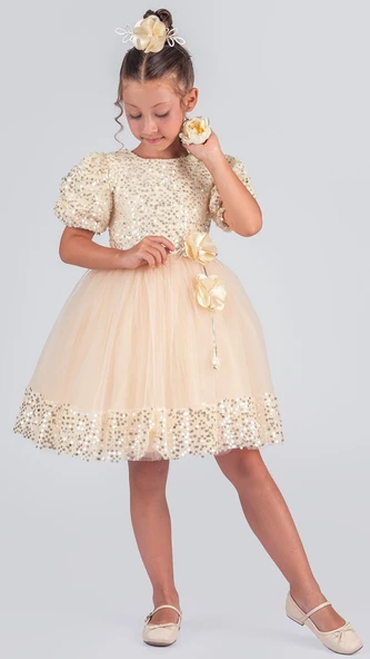 Kız Çocuk Etek Ucu Pullu Venna Abiye Elbise M00761 - Resim 3