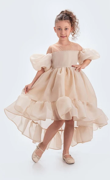 Arisvi Kız Çocuk Abiye M00738 - Resim 5