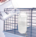 Imac Bıbber 800 Ml Suluk ürün görseli