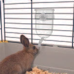 Imac Bıbber 400 Ml Suluk - Resim 2