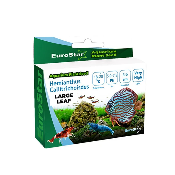 EuroStar Bitki Tohum Large Leaf Base Plant ürün görseli