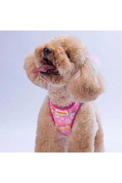 Pawstar Daisy Air-mesh Göğüs Tasması Kedi Köpek Göğüs Tasması Papatya Desenli Köpek Tasması ürün görseli