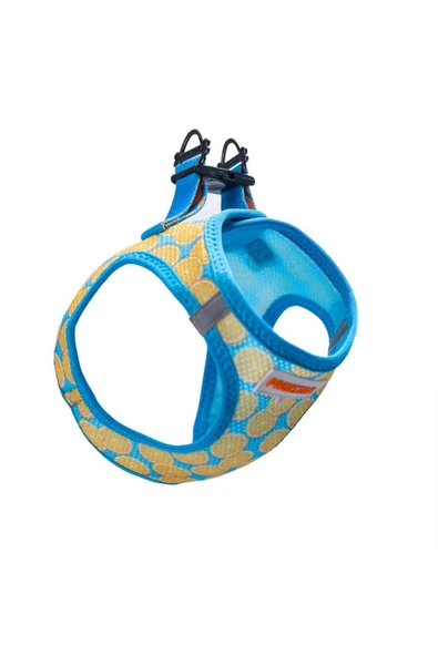Pawstar Citrus Air-mesh Göğüs Tasması Kedi Köpek Göğüs Tasması Narenciye Desenli Köpek Tasması - 5