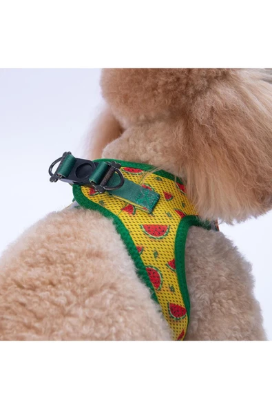 Pawstar Watermelon Air-mesh Göğüs Tasması Kedi Köpek Göğüs Tasması Karpuz Desenli Köpek Tasması - 4