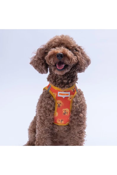 Pawstar Poodle Air-mesh Göğüs Tasması Kedi Köpek Göğüs Tasması ürün görseli