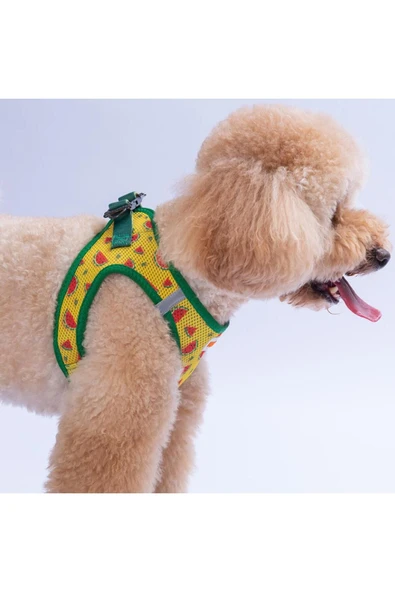 Pawstar Watermelon Air-mesh Göğüs Tasması Kedi Köpek Göğüs Tasması Karpuz Desenli Köpek Tasması - 5