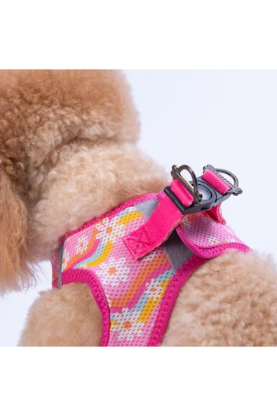 Pawstar Daisy Air-mesh Göğüs Tasması Kedi Köpek Göğüs Tasması Papatya Desenli Köpek Tasması - Resim 4