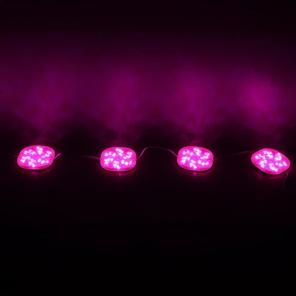 Powermaster 12 Volt 3 Watt Pembe Sabit 6565-2835 Modül Led - 3