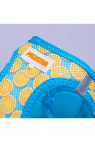 Pawstar Citrus Air-mesh Göğüs Tasması Kedi Köpek Göğüs Tasması Narenciye Desenli Köpek Tasması - 2