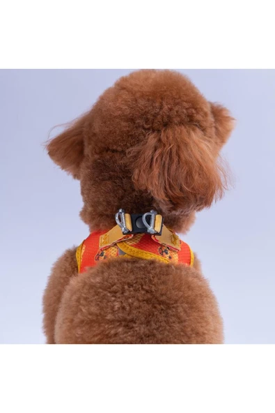 Pawstar Poodle Air-mesh Göğüs Tasması Kedi Köpek Göğüs Tasması - Resim 4