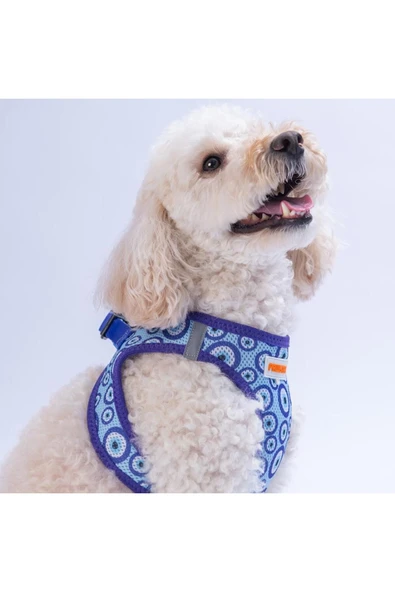 Pawstar Charm Air-mesh Göğüs Tasması Kedi Köpek Göğüs Tasması Nazar Boncuğu Desenli Köpek Tasması - Resim 2
