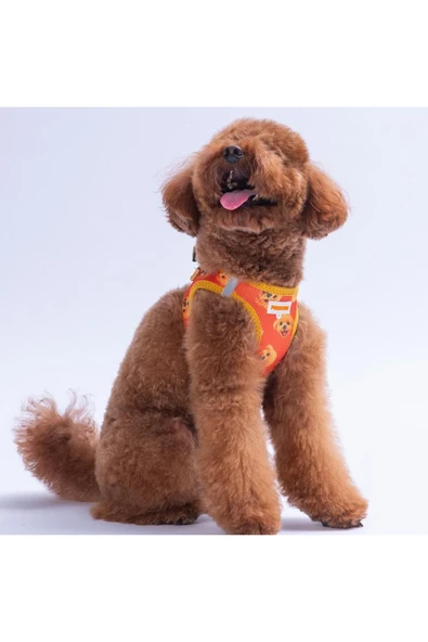 Pawstar Poodle Air-mesh Göğüs Tasması Kedi Köpek Göğüs Tasması - Resim 3