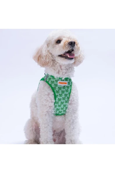 Pawstar Frog Air-mesh Göğüs Tasması Kedi Köpek Göğüs Tasması Kurbağa Desenli Köpek Tasması - 3