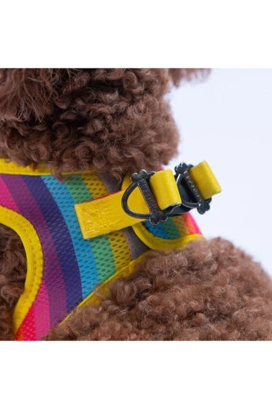 Pawstar Rainbow Air-mesh Göğüs Tasması Kedi Köpek Göğüs Tasması Gökkuşağı Desenli Köpek Tasması - 4