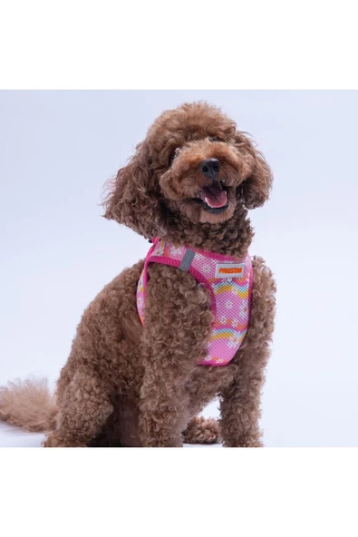 Pawstar Daisy Air-mesh Göğüs Tasması Kedi Köpek Göğüs Tasması Papatya Desenli Köpek Tasması - Resim 3