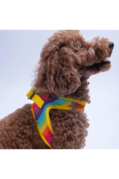 Pawstar Rainbow Air-mesh Göğüs Tasması Kedi Köpek Göğüs Tasması Gökkuşağı Desenli Köpek Tasması - 3