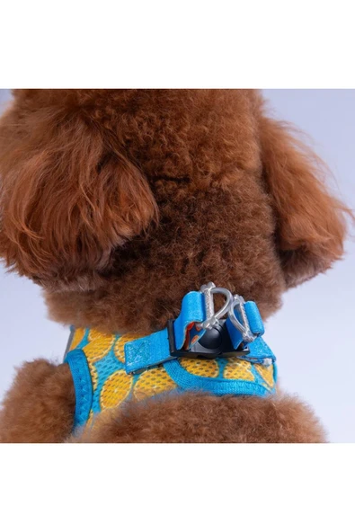 Pawstar Citrus Air-mesh Göğüs Tasması Kedi Köpek Göğüs Tasması Narenciye Desenli Köpek Tasması - 4