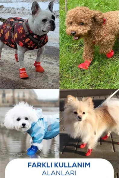 Kedi ve Köpek Pati Ayakkabısı – Silikon Kaymaz Tabanlı, Cırt Cırtlı, Çok Renkli & Farklı Beden Seçenekleri (Stoktan Gönderim) - 2