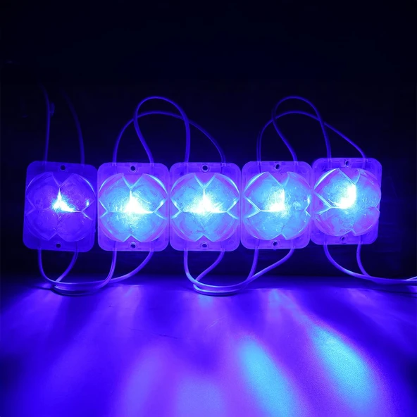 Powermaster 12 Volt 2 Watt Mavi Yanıp Sönen 4333-3030 Modül Led - 2