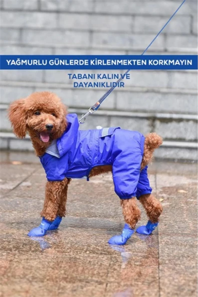 Kedi ve Köpek Pati Ayakkabısı – Silikon Kaymaz Tabanlı, Cırt Cırtlı, Çok Renkli & Farklı Beden Seçenekleri (Stoktan Gönderim)
