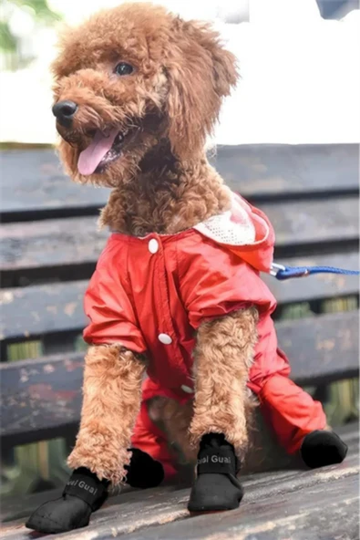 Kedi ve Köpek Pati Ayakkabısı – Silikon Kaymaz Tabanlı, Cırt Cırtlı, Çok Renkli & Farklı Beden Seçenekleri (Stoktan Gönderim) - 3