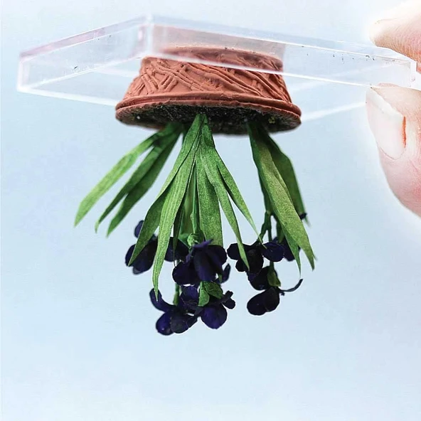 Kokusuz Süper Yapıştırıcı Çok Amaçlı Hızlı Kuruyan Şeffaf Renk Çabuk Donar Japon Yapıştırıcı 1 Adet - Resim 7