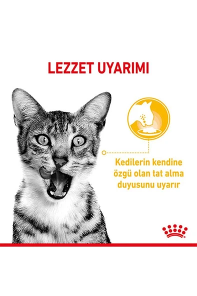 Royal Canin Sensory Taste in Gravy Adult Kedi Konservesi 85 Gr - Resim 3