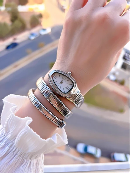 Coliseum Dolamalı Yılan Model Özel Tasarım Vintage Seri Kadın Kol Saati CL.Y001.M1 - Resim 2