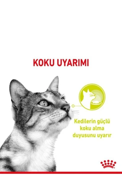 Royal Canin Sensory Smell Gravy 85 Grx12 Adet Kedi Konservesi - Resim 2