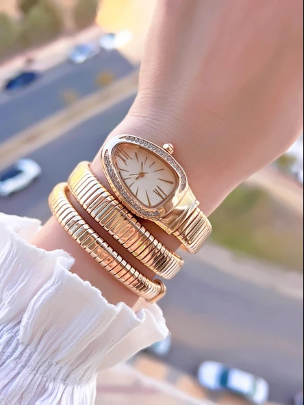 Coliseum Dolamalı Yılan Model Özel Tasarım Vintage Seri Kadın Kol Saati CL.Y001.M6 - Resim 2