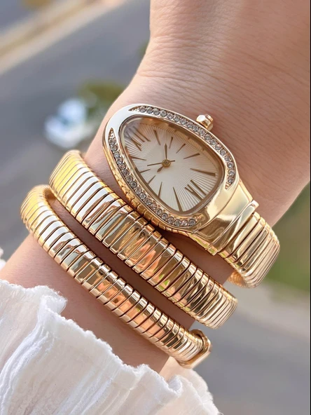 Coliseum Dolamalı Yılan Model Özel Tasarım Vintage Seri Kadın Kol Saati CL.Y001.M6 ürün görseli