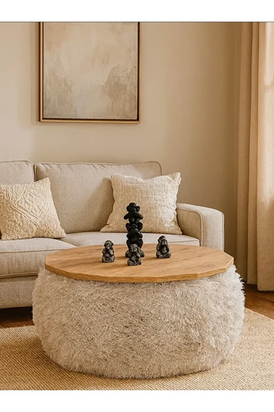 orta sehpa ürün görseli