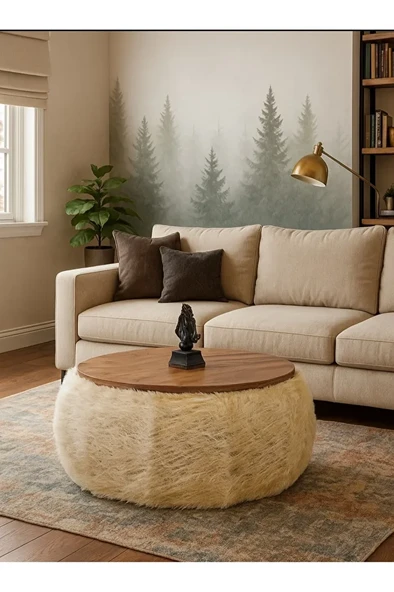 orta sehpa ürün görseli