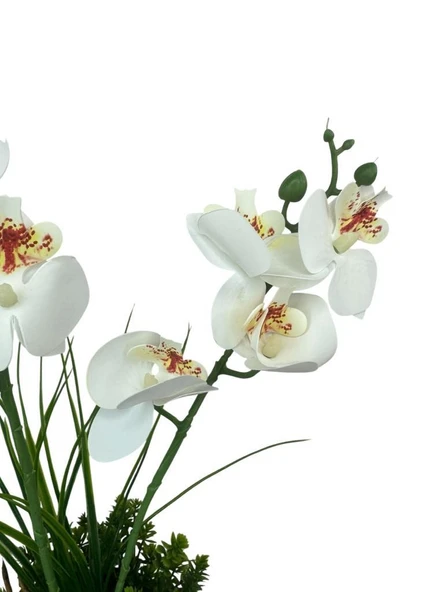 Yapay Çiçek Beyaz Islak Orkide Gold Metal Saksıda Saksıda Orkide 50cm - Resim 8