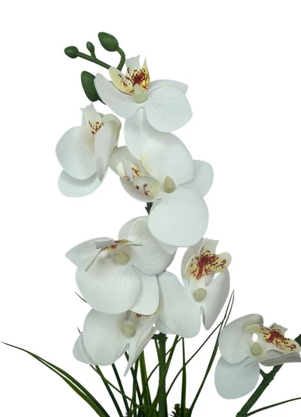 Yapay Çiçek Beyaz Islak Orkide Gold Metal Saksıda Saksıda Orkide 50cm - Resim 7