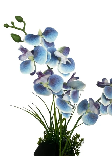 Yapay Çiçek Mavi Islak Orkide Gold Metal Saksıda Saksıda Orkide 50cm - Resim 6