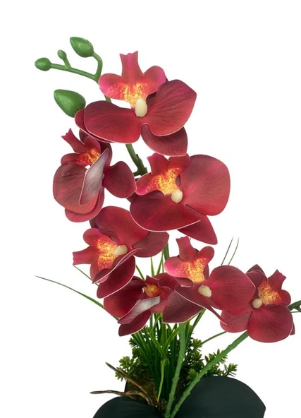 Yapay Çiçek Islak Orkide Gold Metal Saksıda Saksıda Orkide 50cm - Resim 3