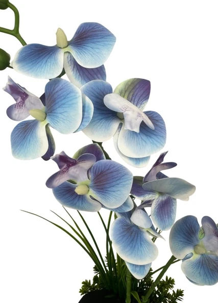 Yapay Çiçek Mavi Islak Orkide Gold Metal Saksıda Saksıda Orkide 50cm - Resim 2